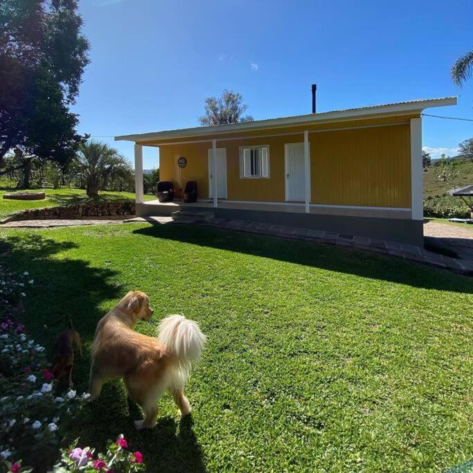 Villa Casa Vigneto Octavio No Vale Dos Vinhedos Bento Gonçalves Exterior foto