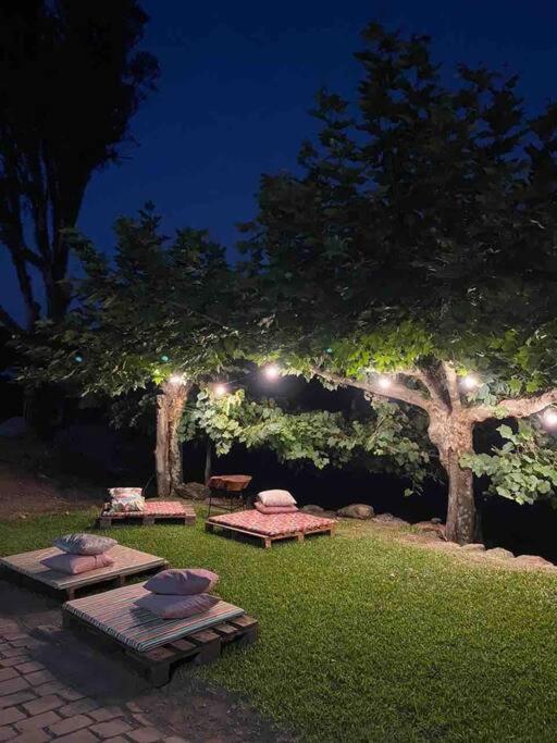 Villa Casa Vigneto Octavio No Vale Dos Vinhedos Bento Gonçalves Exterior foto