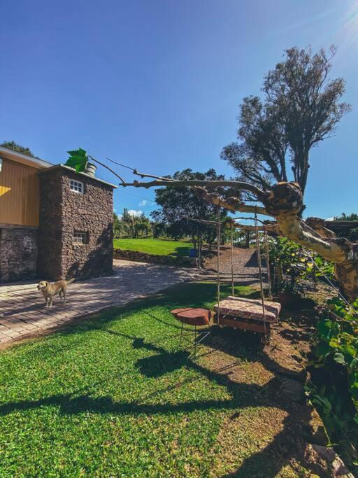 Villa Casa Vigneto Octavio No Vale Dos Vinhedos Bento Gonçalves Exterior foto