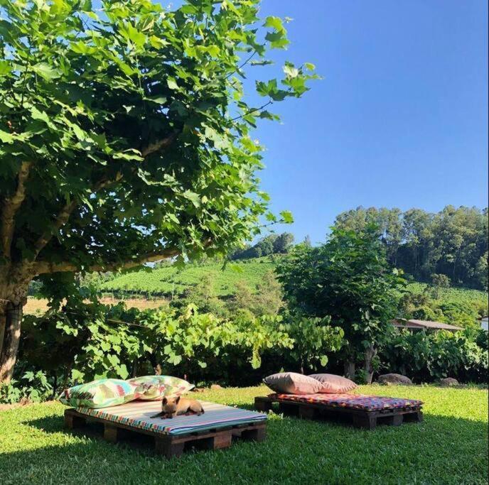 Villa Casa Vigneto Octavio No Vale Dos Vinhedos Bento Gonçalves Exterior foto